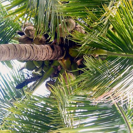 Siboya Bungalows Ngoại thất bức ảnh